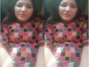 Cute Desi Girl Fucked InCar