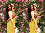 Moni Nude Saree Fashion