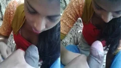 Desi Girl Sucking Lover Dick